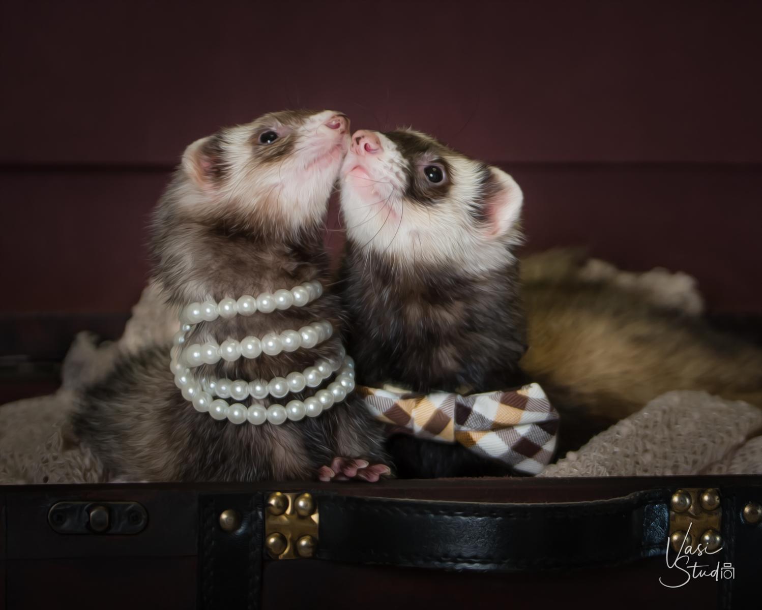 Excotic pet portraits Vasi Siedman! Jupiter, Palm Beach Gardens, Tequesta.