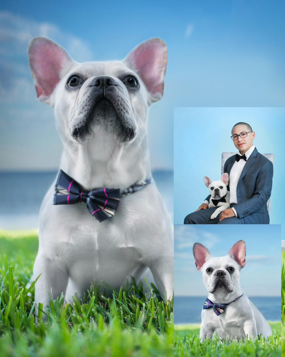 Fun dog photographer in Delray Beach, FL