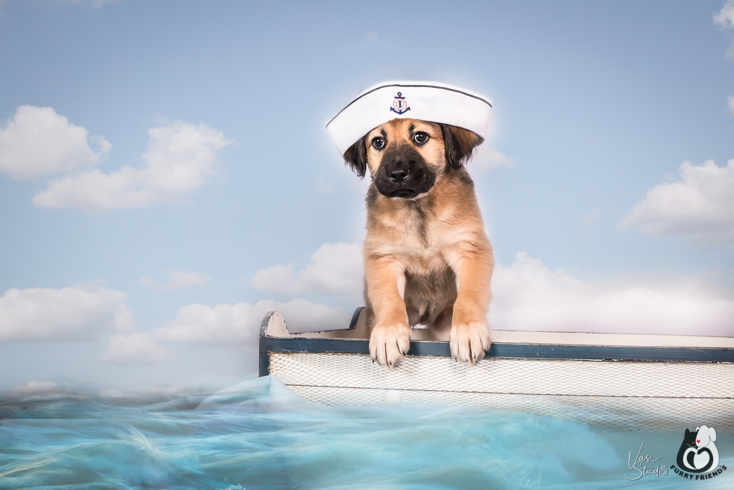 Vasi Studio specializes in capturing beautiful portraits of people and pets.