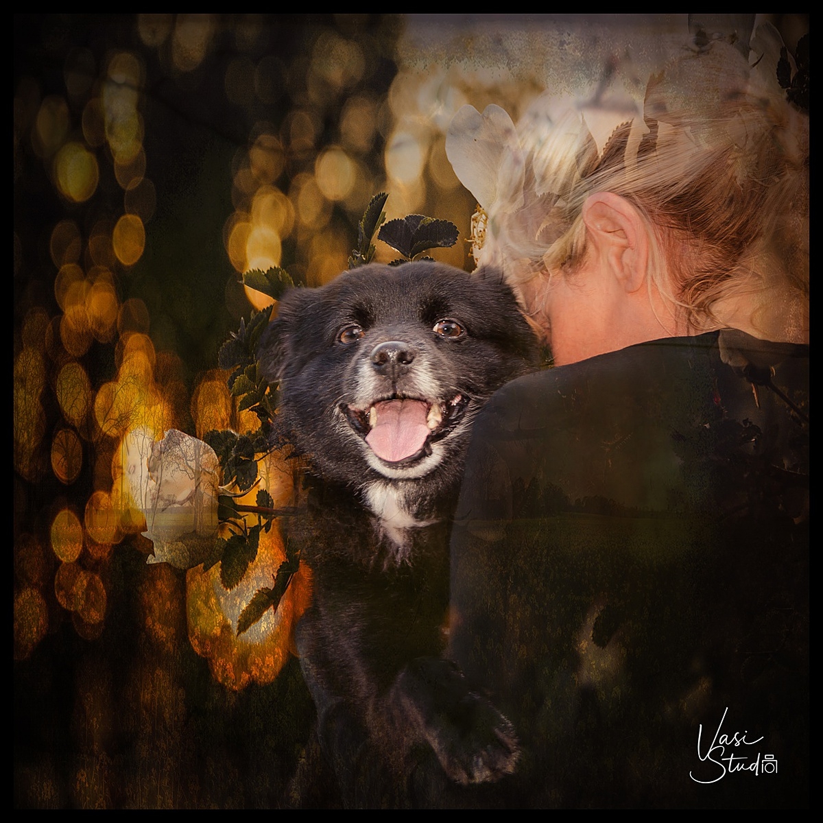 Animal Art Photography in Palm Beach
