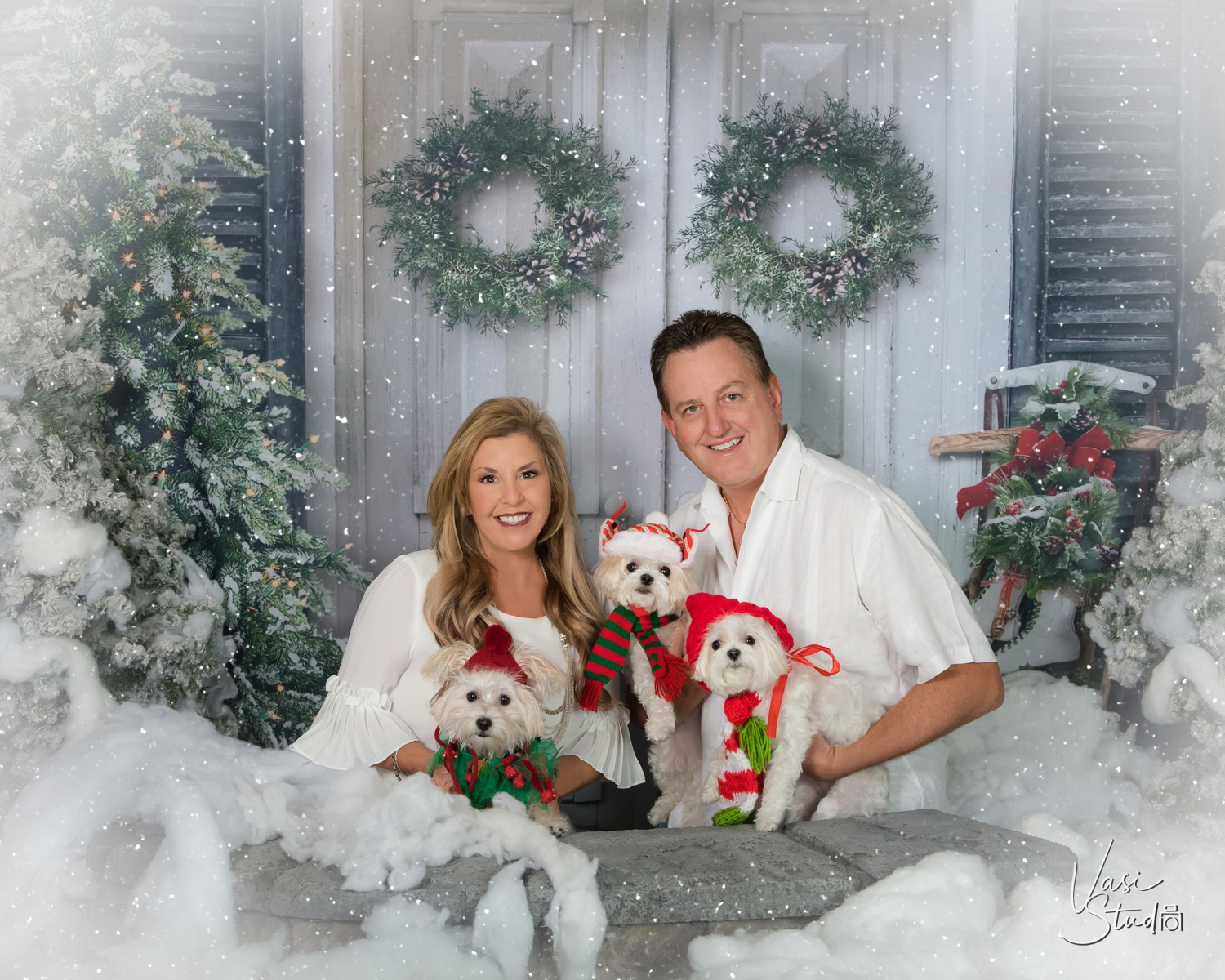 Cats and Dogs; People and Pets Holiday Portraits