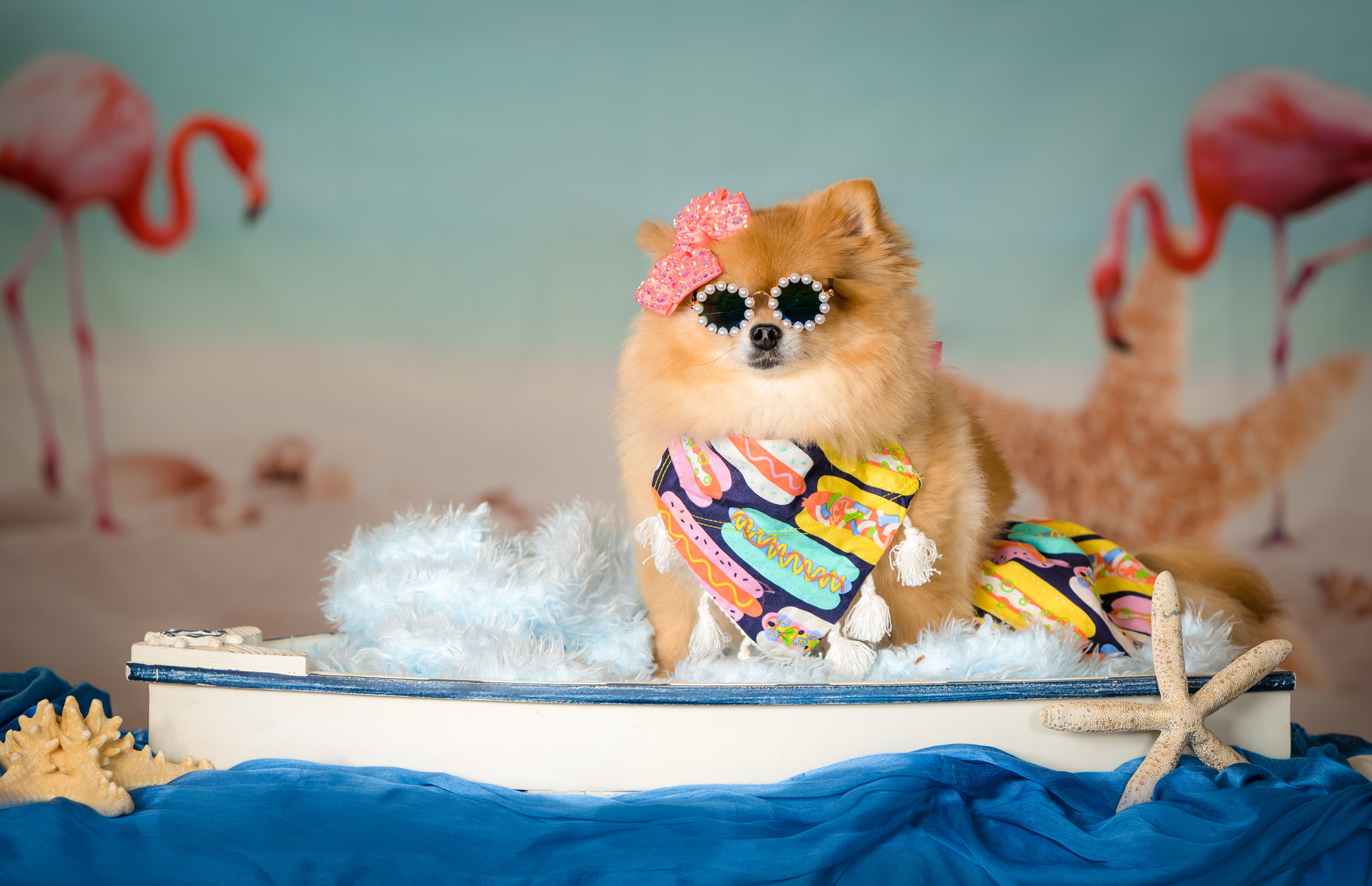 Beautiful and very special pet photography!