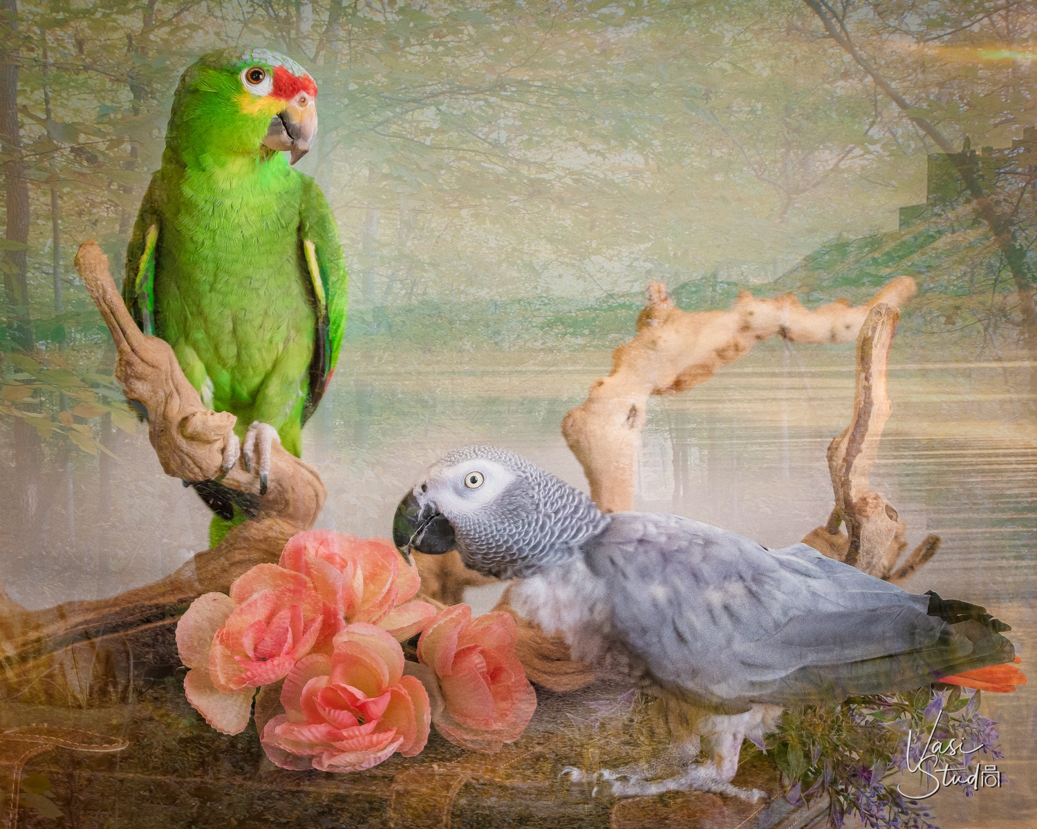 Creative Animal Art in South Florida by Vasi Studio. Call us today  at 561-308-9875