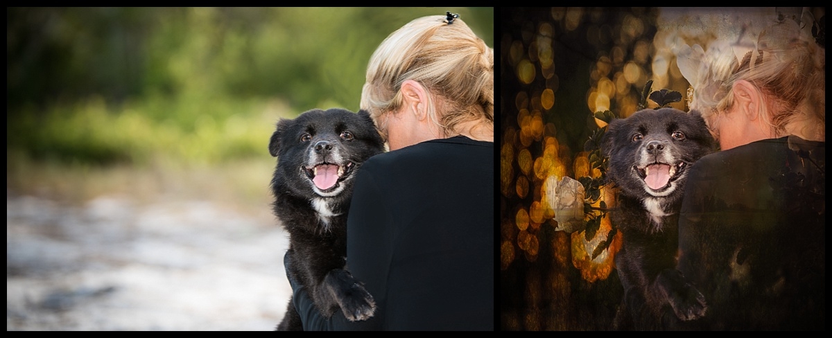 Before & After , I love my doggy. Park Session in North Palm Beach