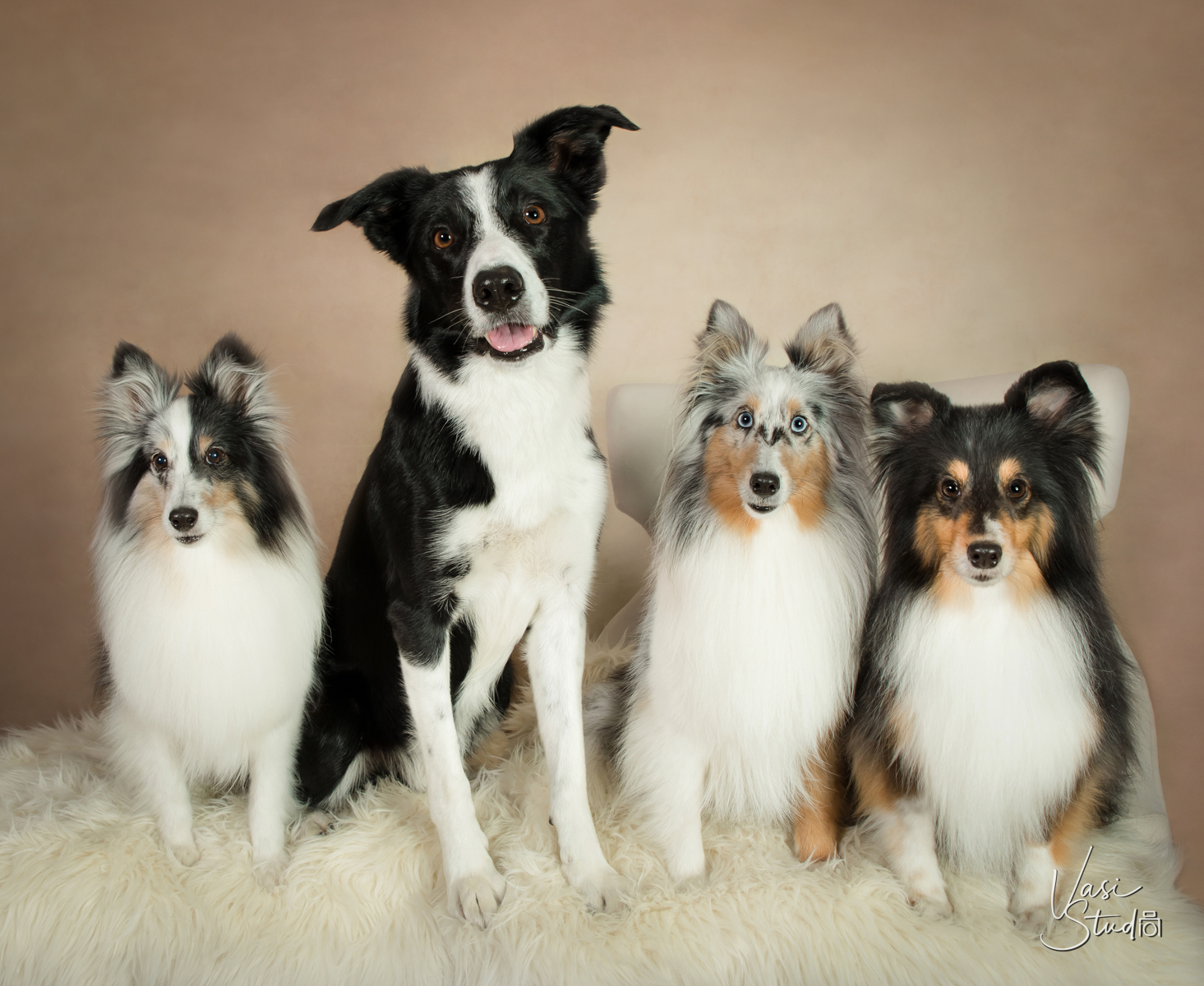 Pet owner and dogs photograph Palm Beach Gardens, FL