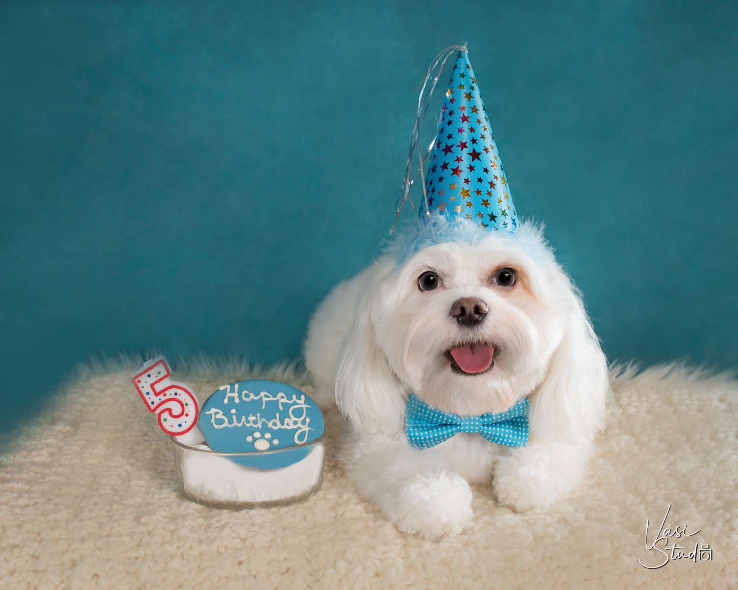 Vasi Studio is located in Palm Beach Gardens, FL.