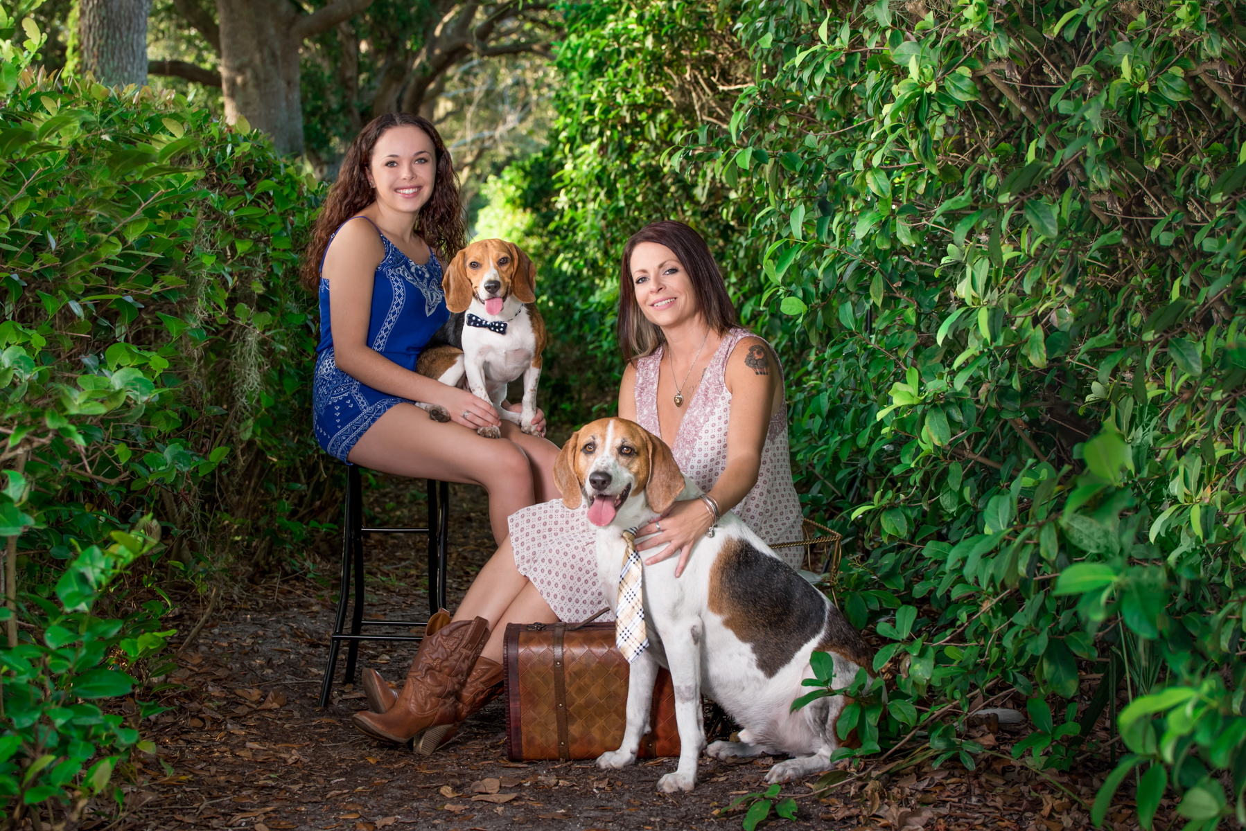 Small and large pet portraits Palm Beach, Florida.