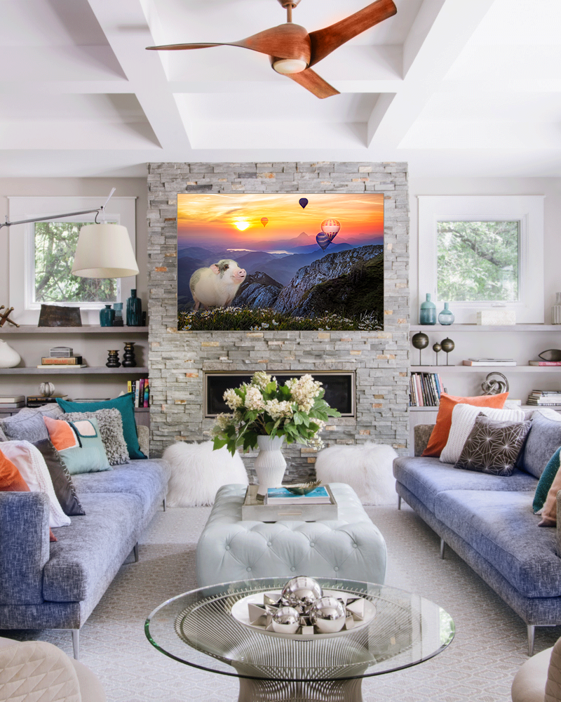 Canvas for your home decor of your pets! Let's create memories.