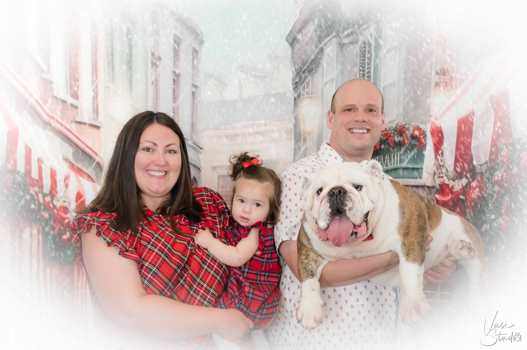 Holiday Dog Photos Palm Beach, Jupiter, West Palm Beach