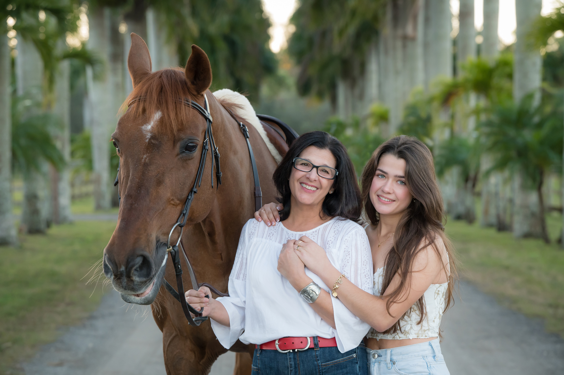 Top HorsePet Photographer, Wellington