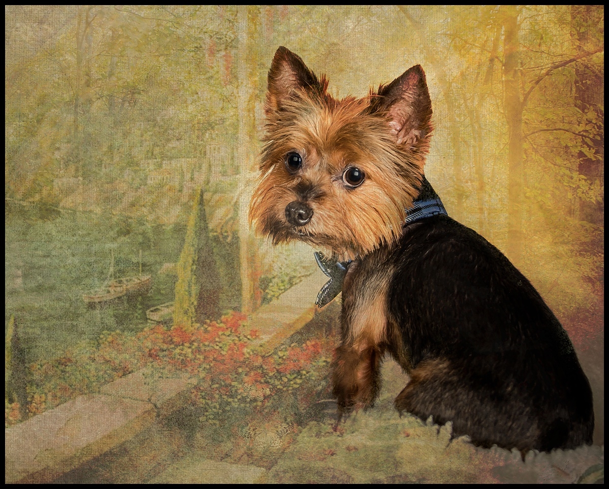 Artistic portraits of people and pets. Jupiter, South Florida