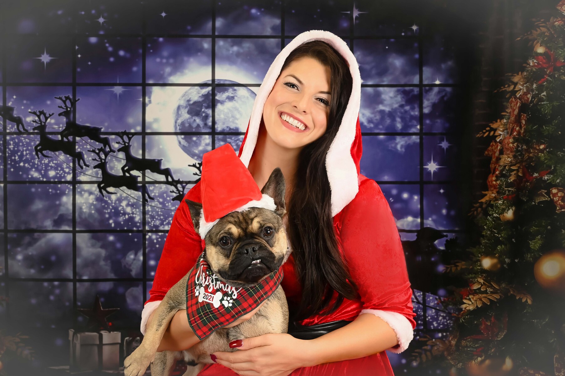 Holiday Pet Photography in Palm Beach.