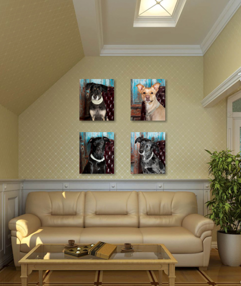 Custom Animal Portraits for your home or office.