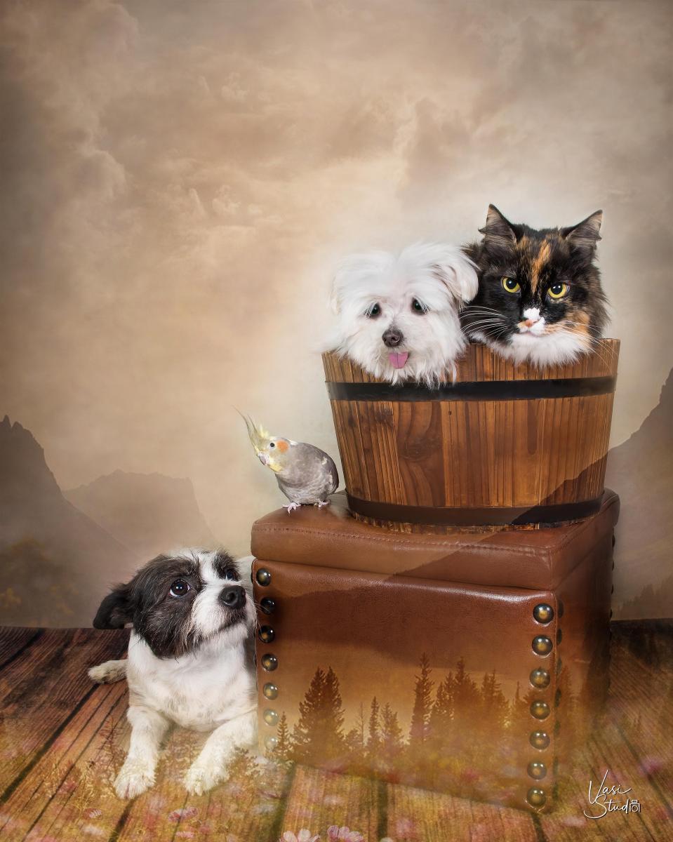 Cat, dogs and a bird! My best friends!