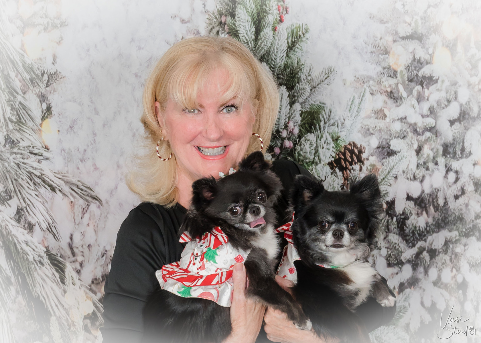 Professional holiday pet photos