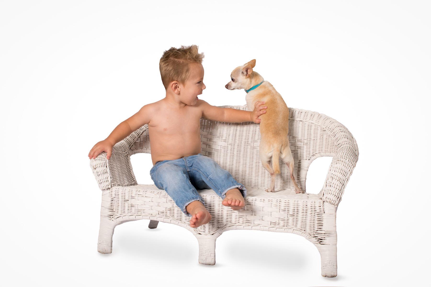 Small dog photographer in Jupiter, FL.