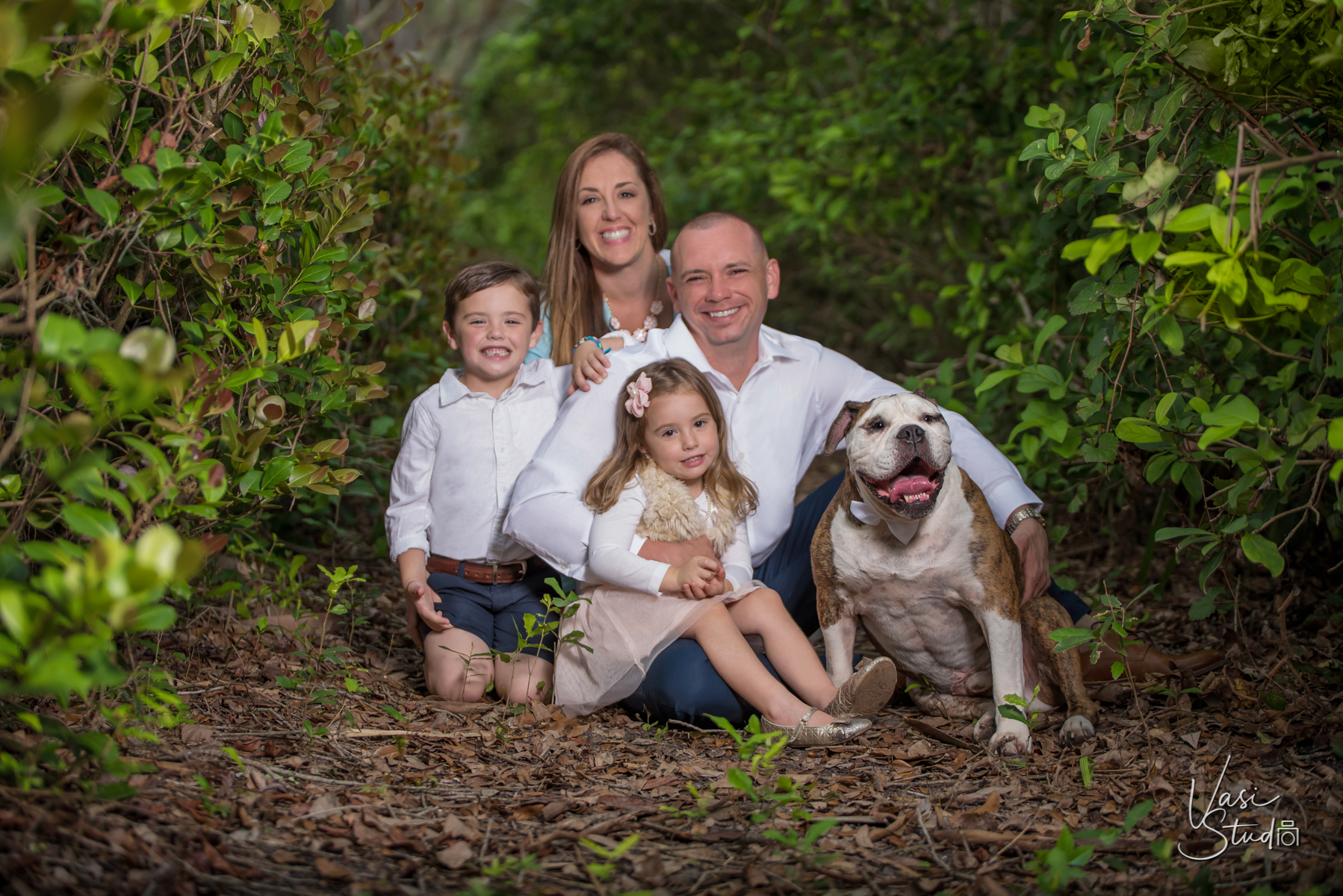 Seasonal family photo sessions available from Vasi Siedman.
