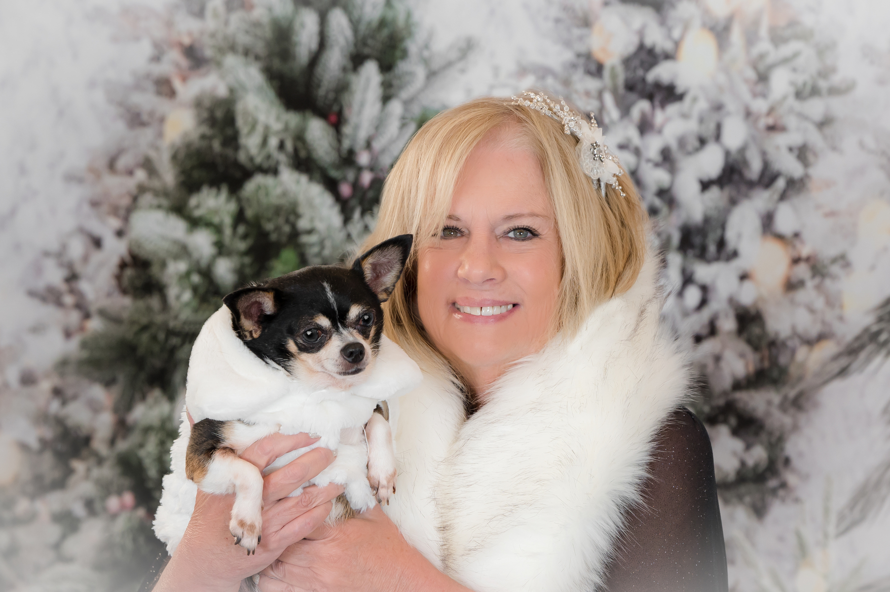 Make your holiday pet portrait session today!