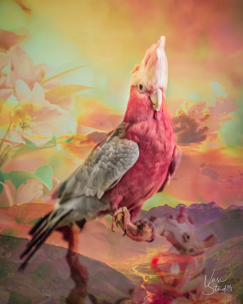 Fine Art piece of a bird by Vasi Studio