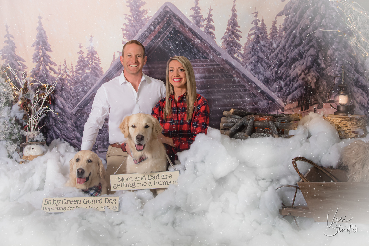 Creative and unique Holiday Dog Photos Palm Beach, FL.