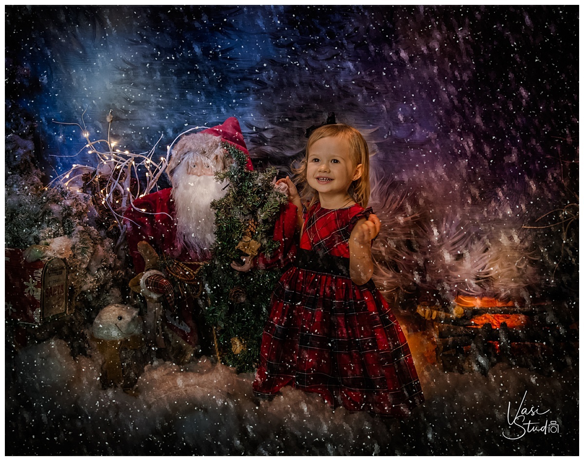 Holiday ART photography. Make your holiday pet portrait session today!