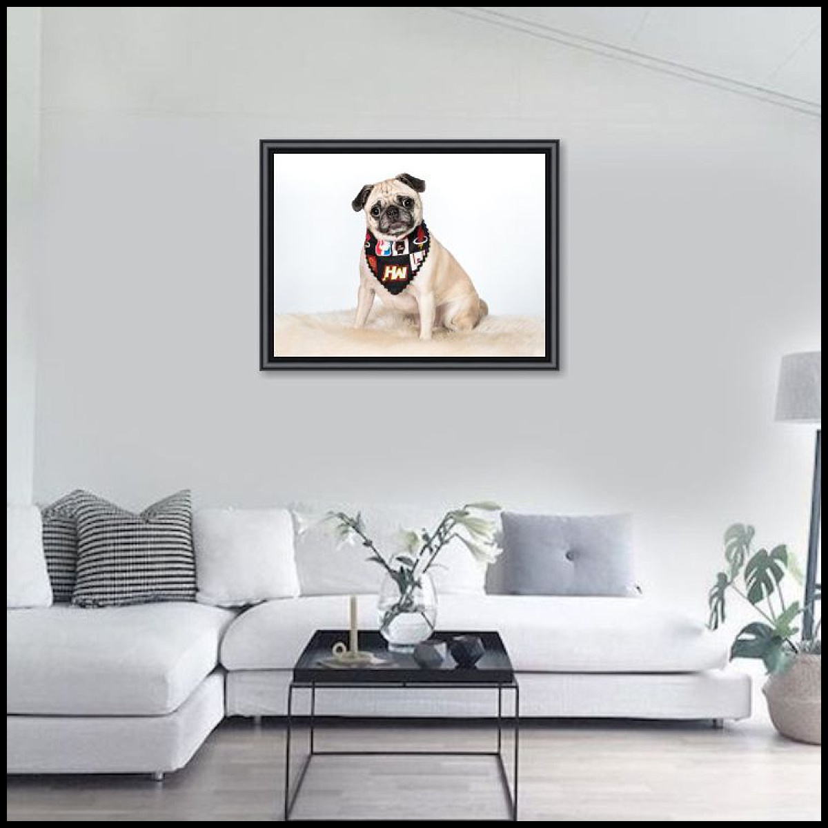 Custom dog photographs in South Florida