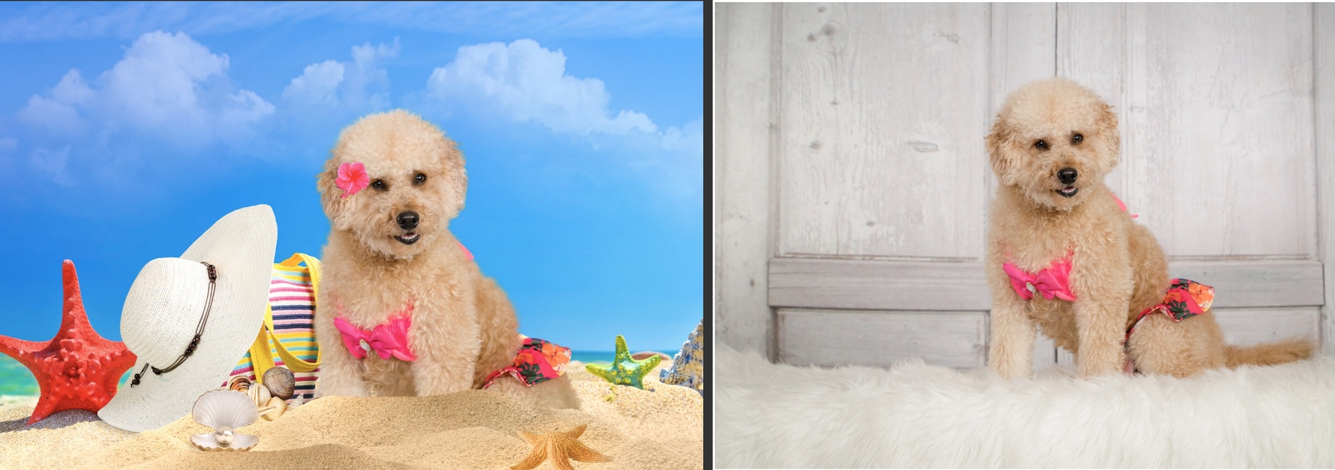 Before and after of Fine Art of a men and his doggy..