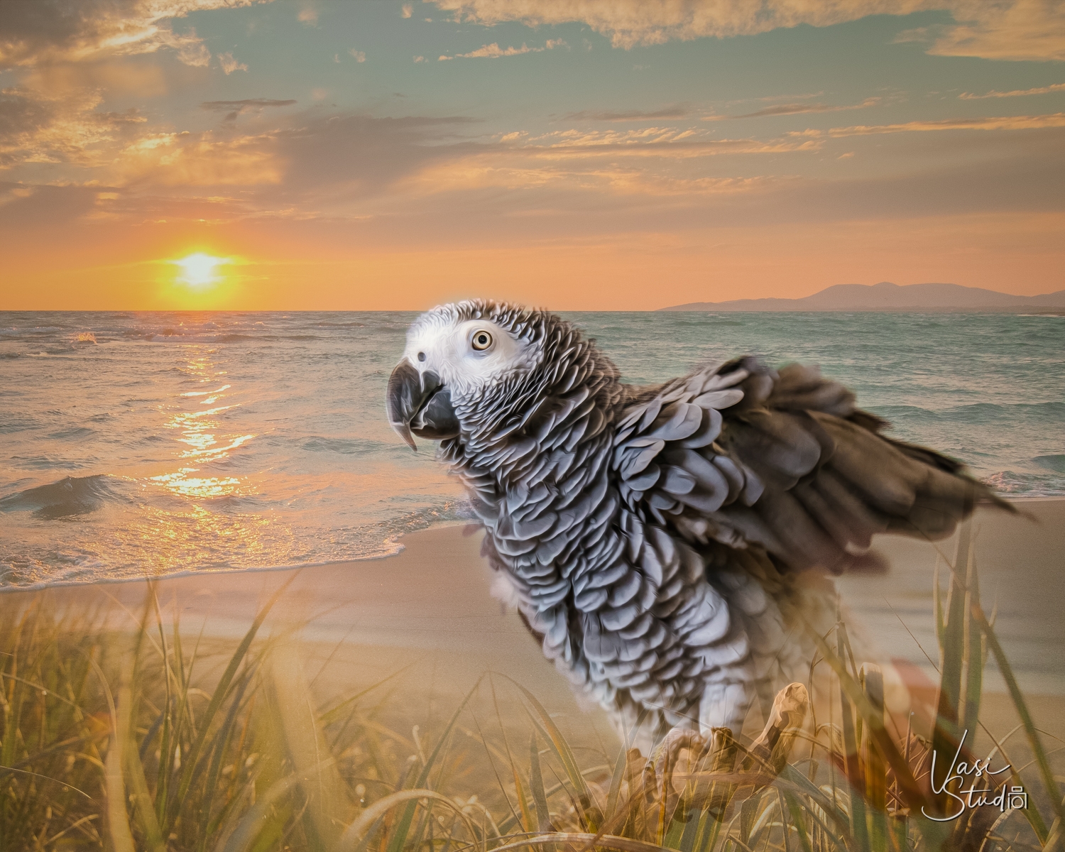 Fine Art of a Bird " The Beach"