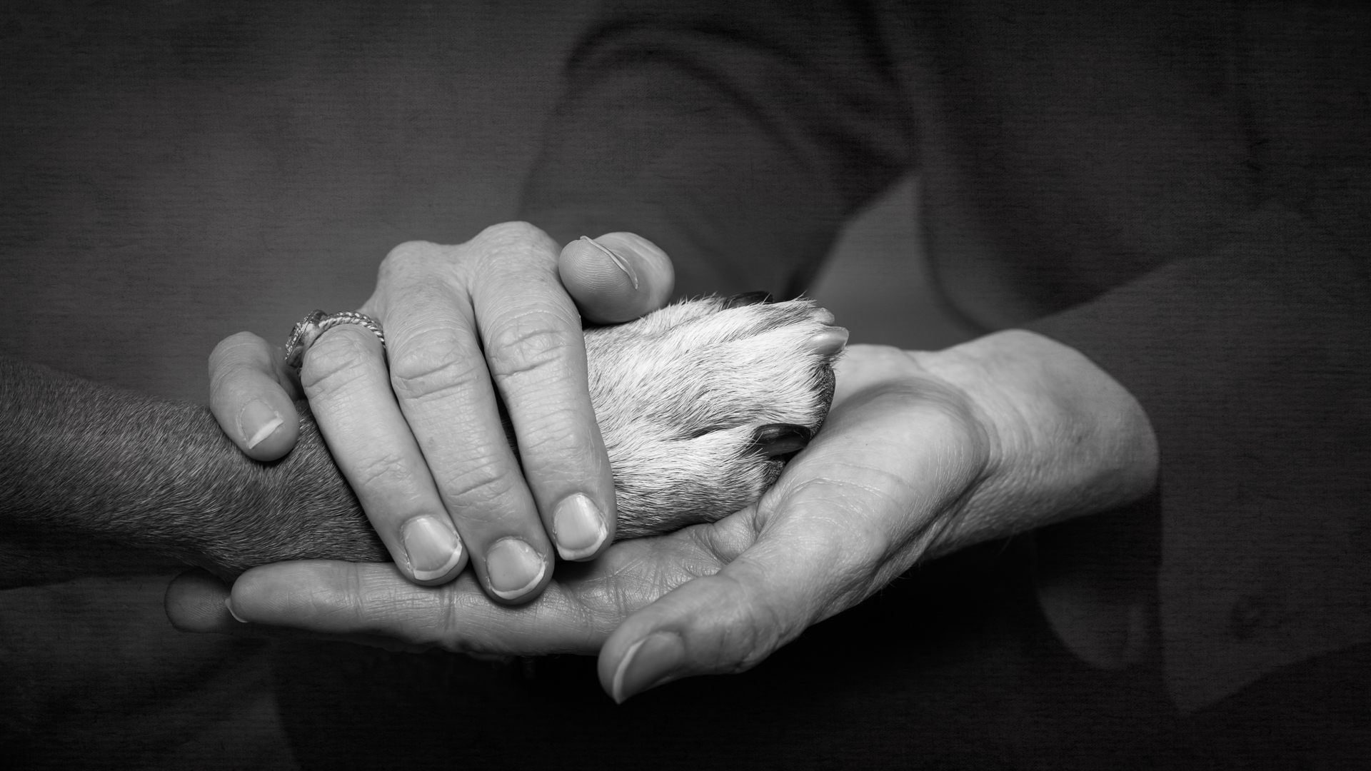 Custom sessions for your and your pet. Contact us today at (561) 307-9875.