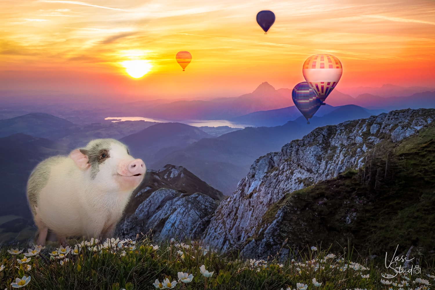 Piggy Fine Art for your wall by Vasi Siedman