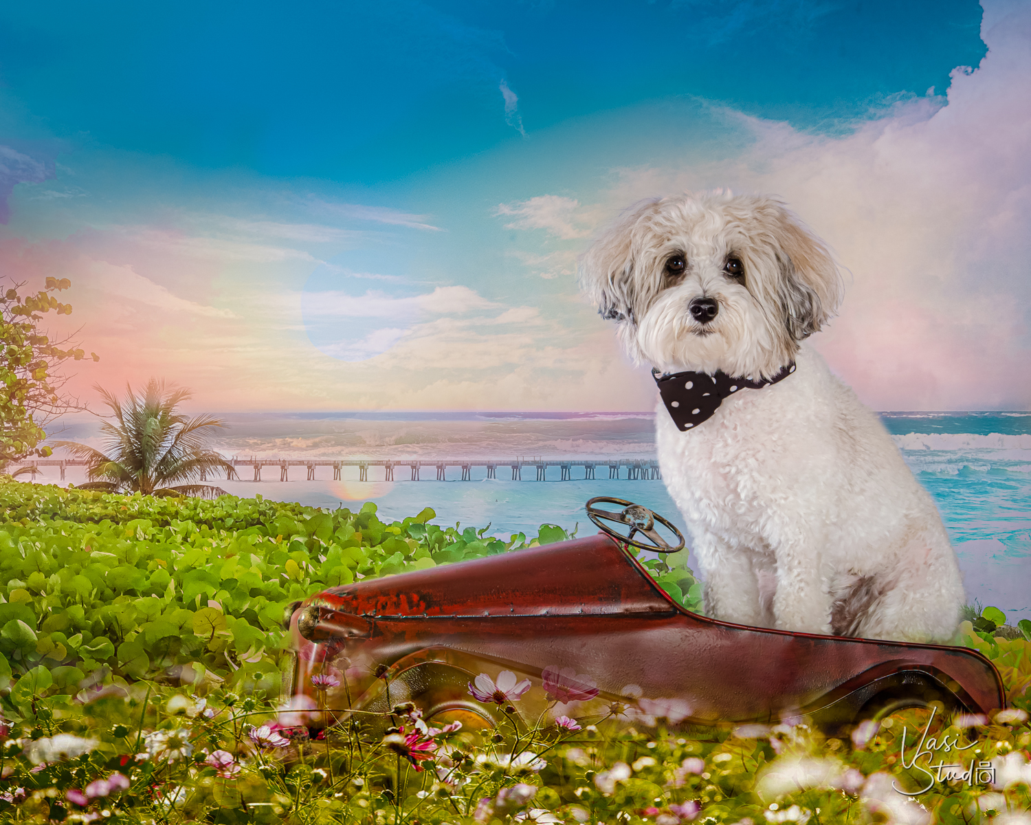 Beach, Ocean and Pier in Juno Beach - Fine Art Pet Wall Art pieces printed on canvas, velvet or metal.